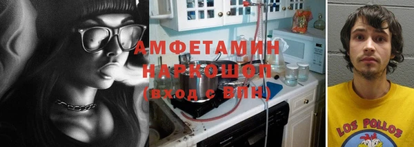 гашик Пестово