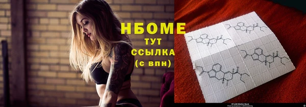 гашик Пестово
