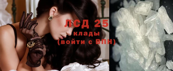 гашик Пестово