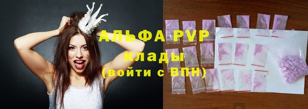 гашик Пестово