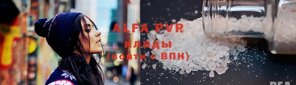 гашик Пестово