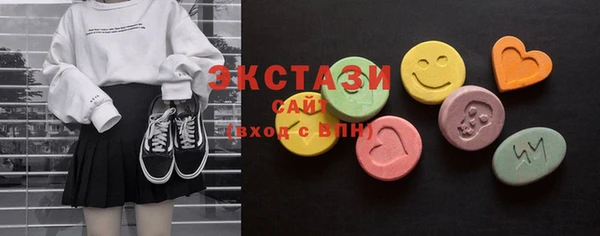 гашик Пестово