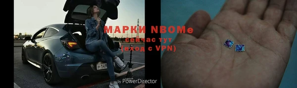 гашик Пестово