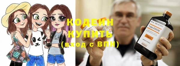 гашик Пестово