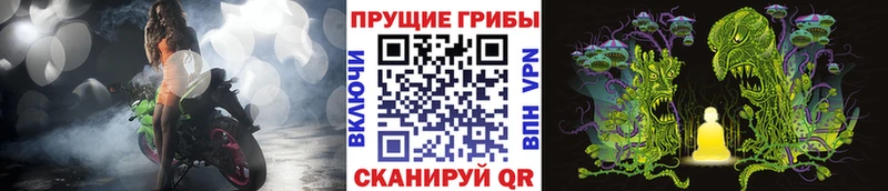Купить закладки  Батайск  Псилоцибиновые грибы MAGIC MUSHROOMS