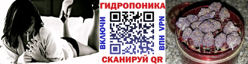 МАРИХУАНА ГИДРОПОН  Купить где  Батайск 